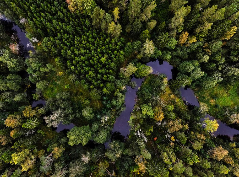 Photograph by Александр Абросимов