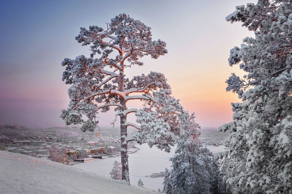 Photograph by Александр Шипиленко