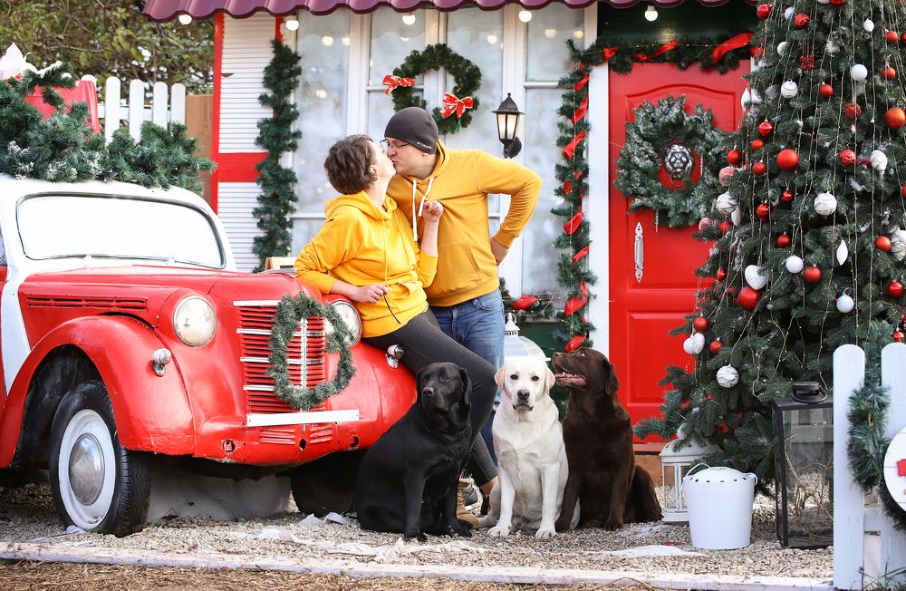 Photograph by Титаренко Ольга