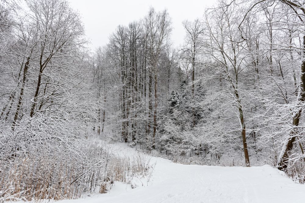 Photograph by Валерий Петухов