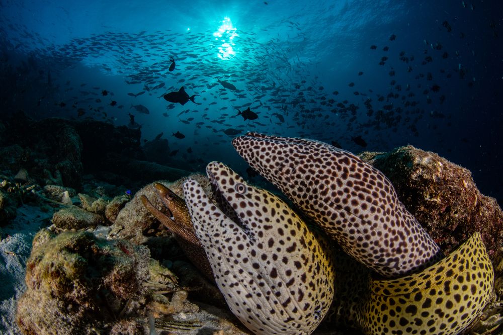 Photograph by Carlos Eduardo Barreto Pinheiro