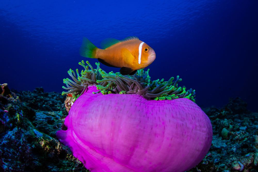 Photograph by Carlos Eduardo Barreto Pinheiro