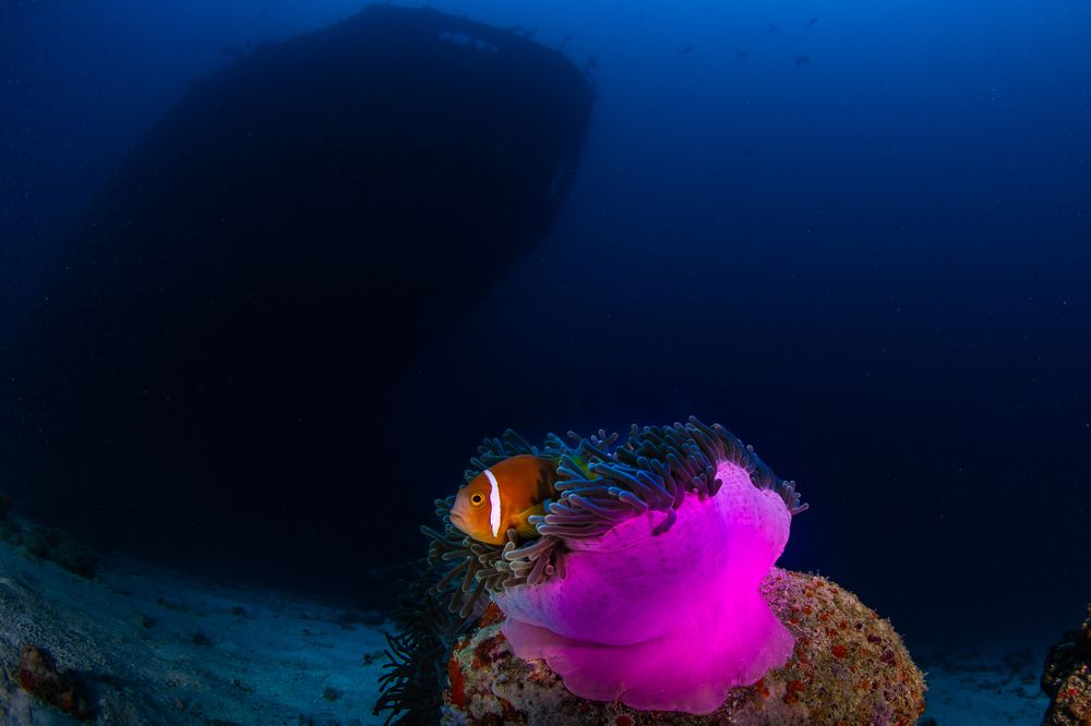 Photograph by Carlos Eduardo Barreto Pinheiro