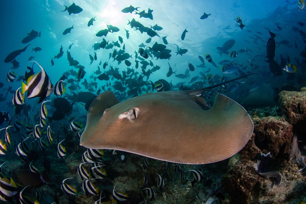 Photograph by Carlos Eduardo Barreto Pinheiro