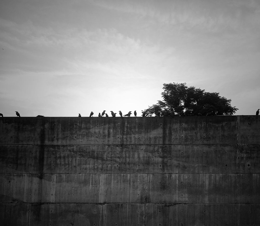 Photograph by Faiyaz Shahriar
