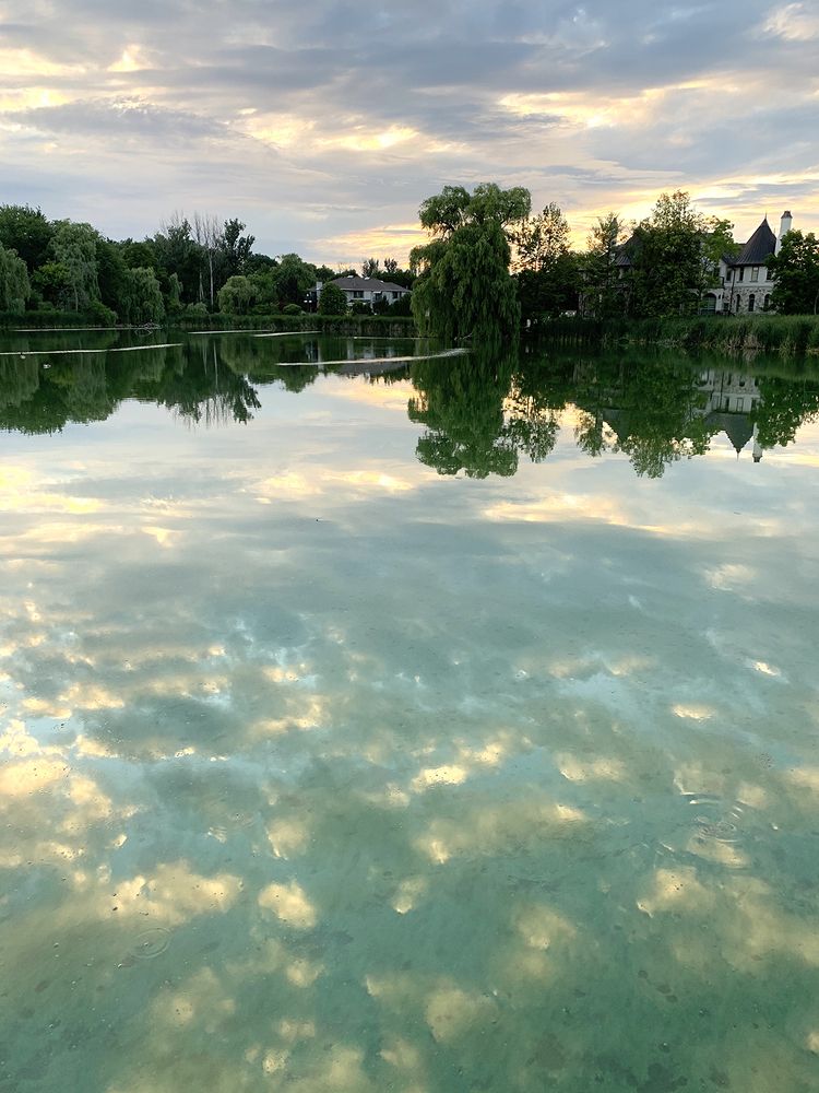 Photograph by Liliana Grup