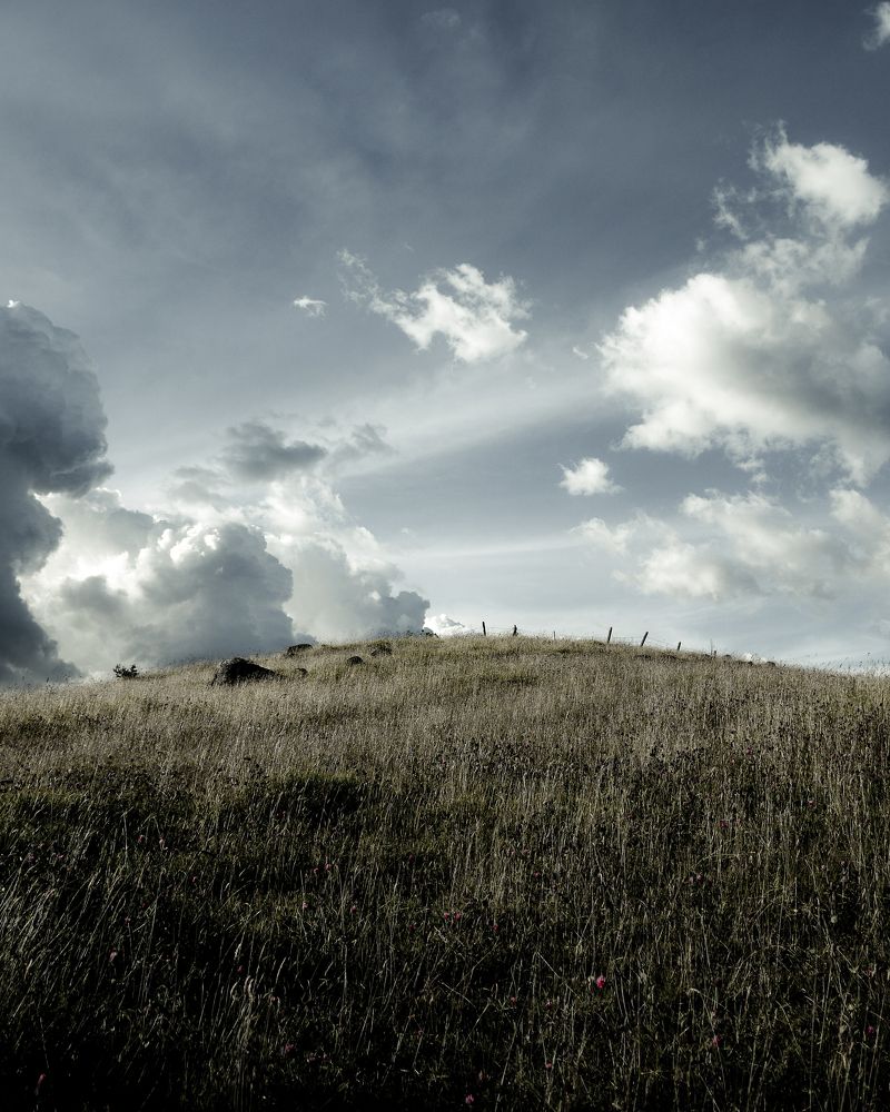 Photograph by Marcel de Jesús Falla Beltrán