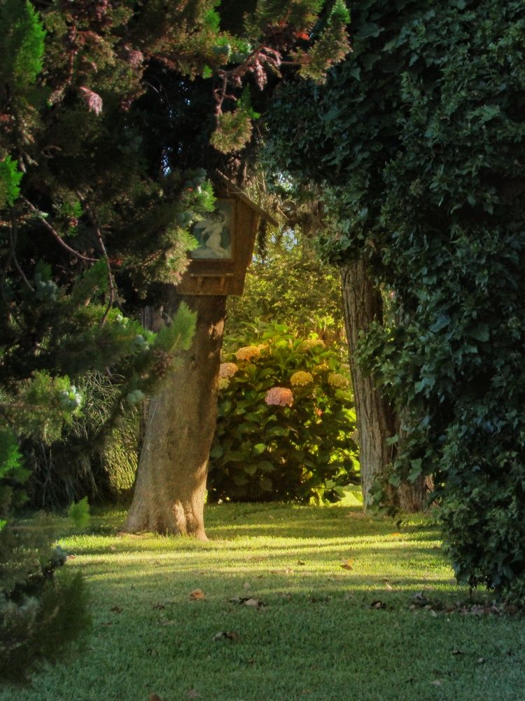 Walking in a fairy tail