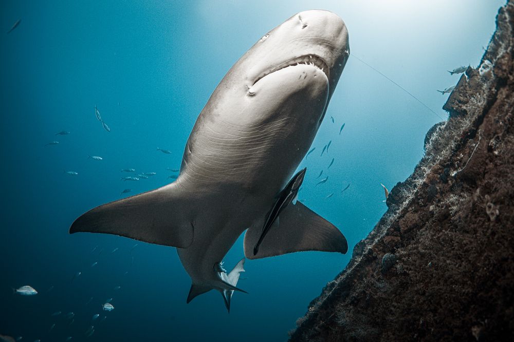 Photograph by Mizael Palomeque