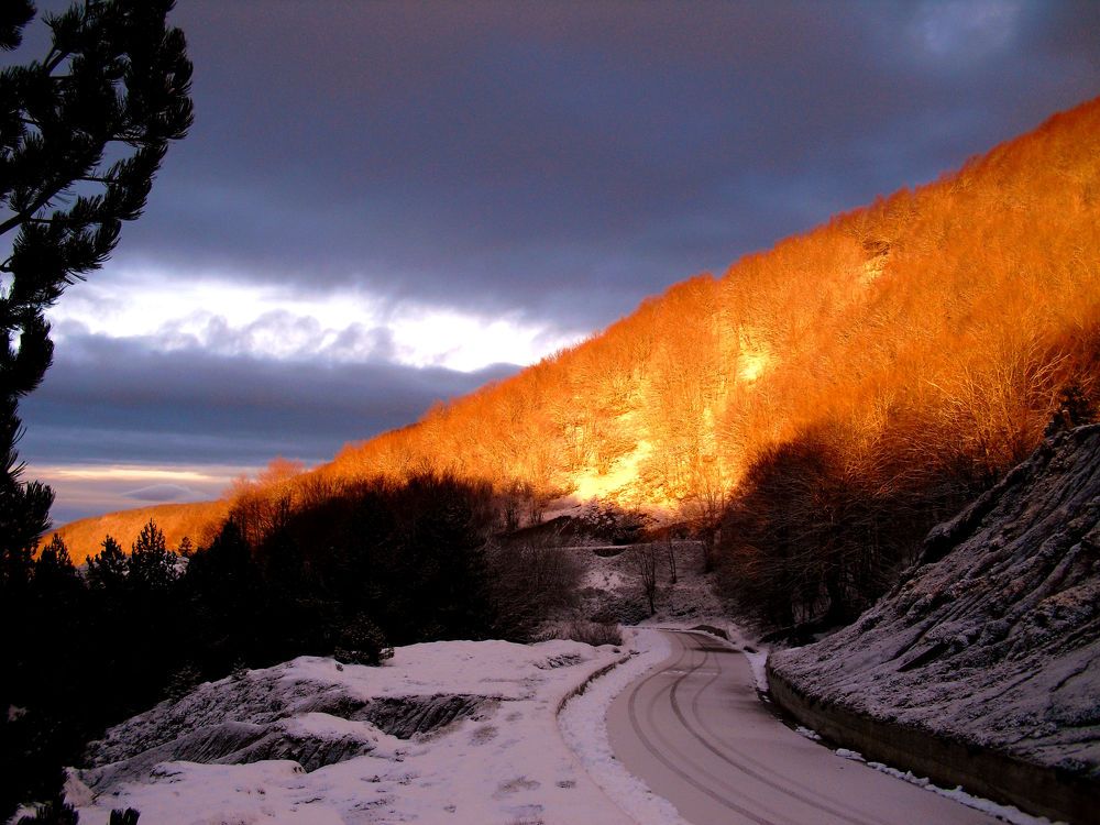 Photograph by Рита