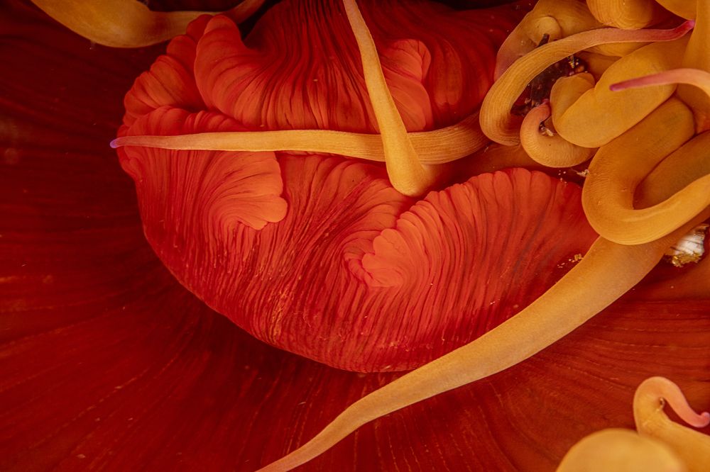 Photograph by Peet J Van Eeden