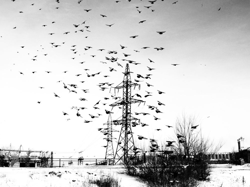 Photograph by Марина Савченко