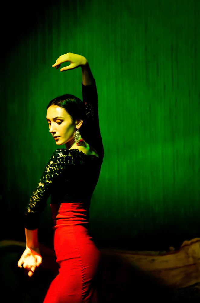 Flamenco Dancer
