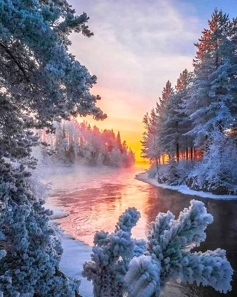 Photograph by Alfred Arnold