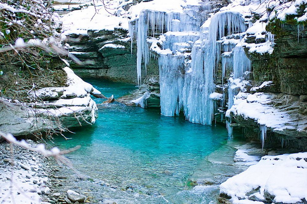 Photograph by Alfred Arnold