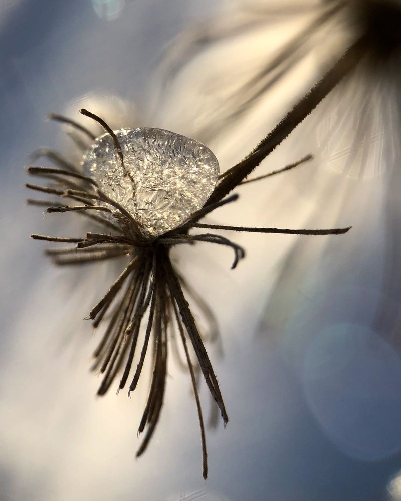 Photograph by Юлия Отставнова