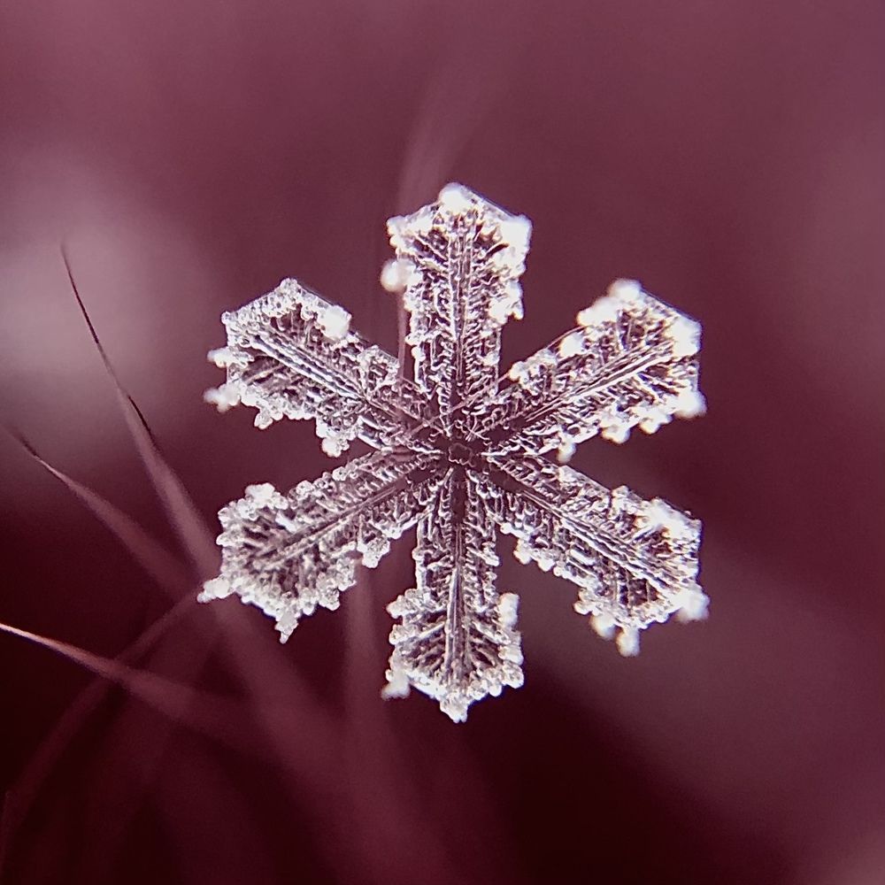 Photograph by Юлия Отставнова