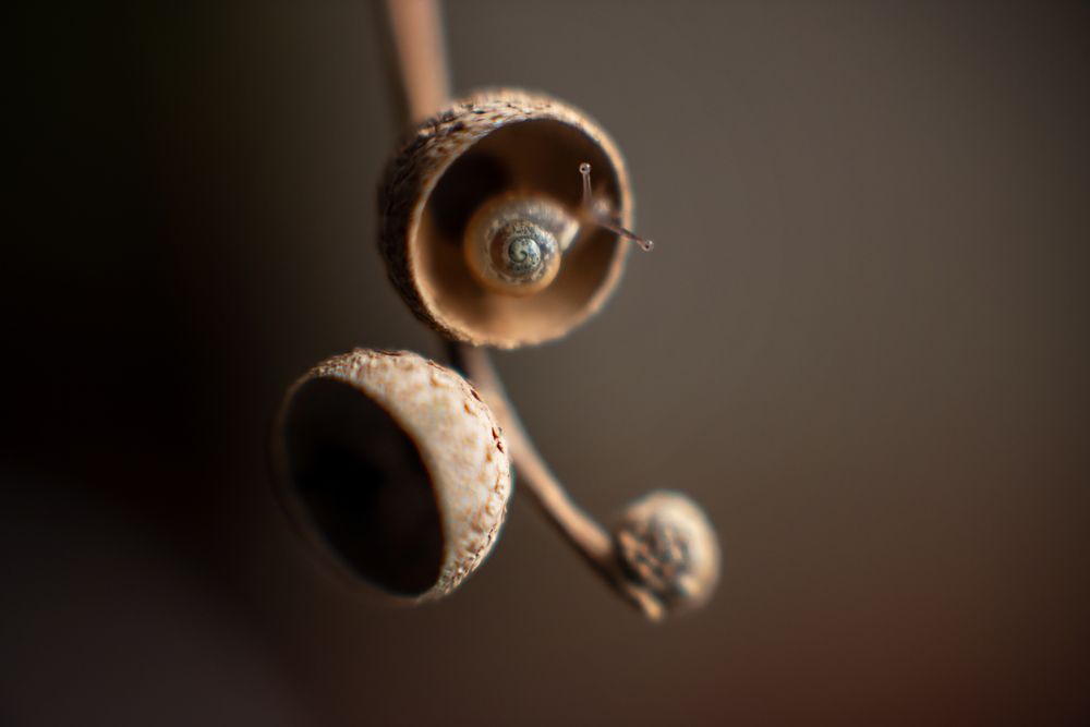 Photograph by Анастасия Думинская