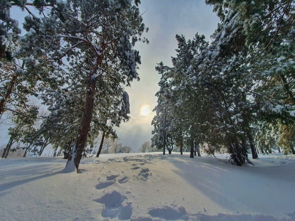 Photograph by Дмитрий Доценков