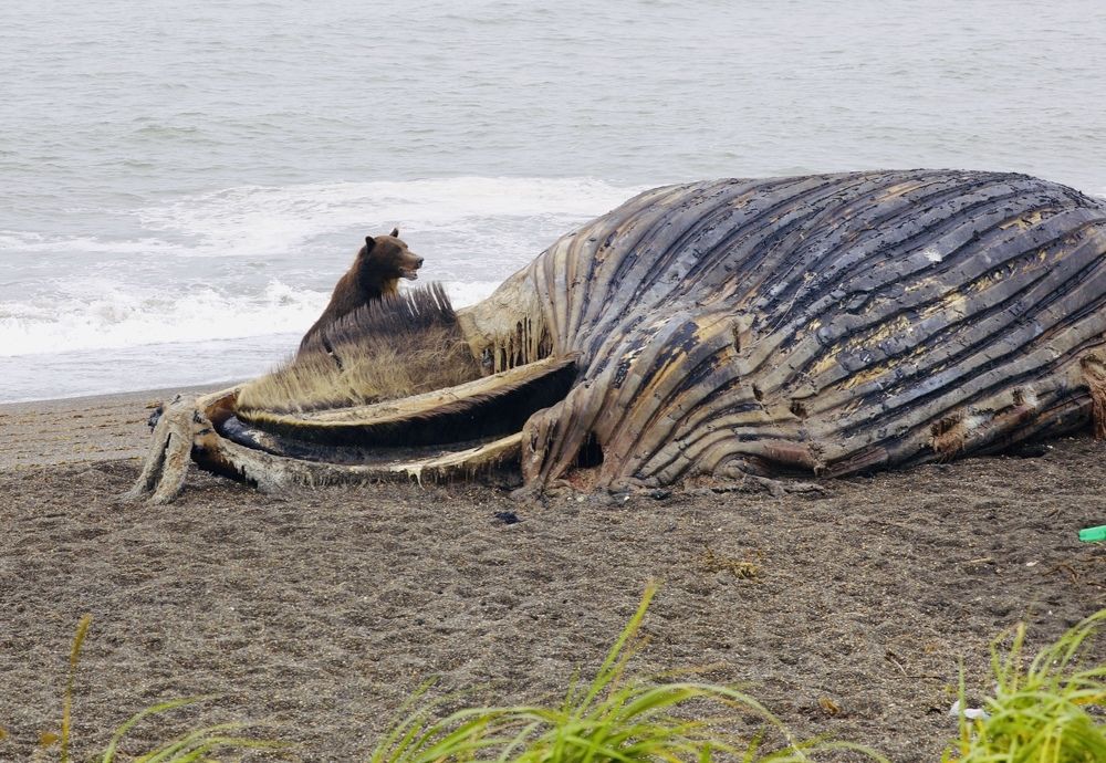 Photograph by Наталья Филькина