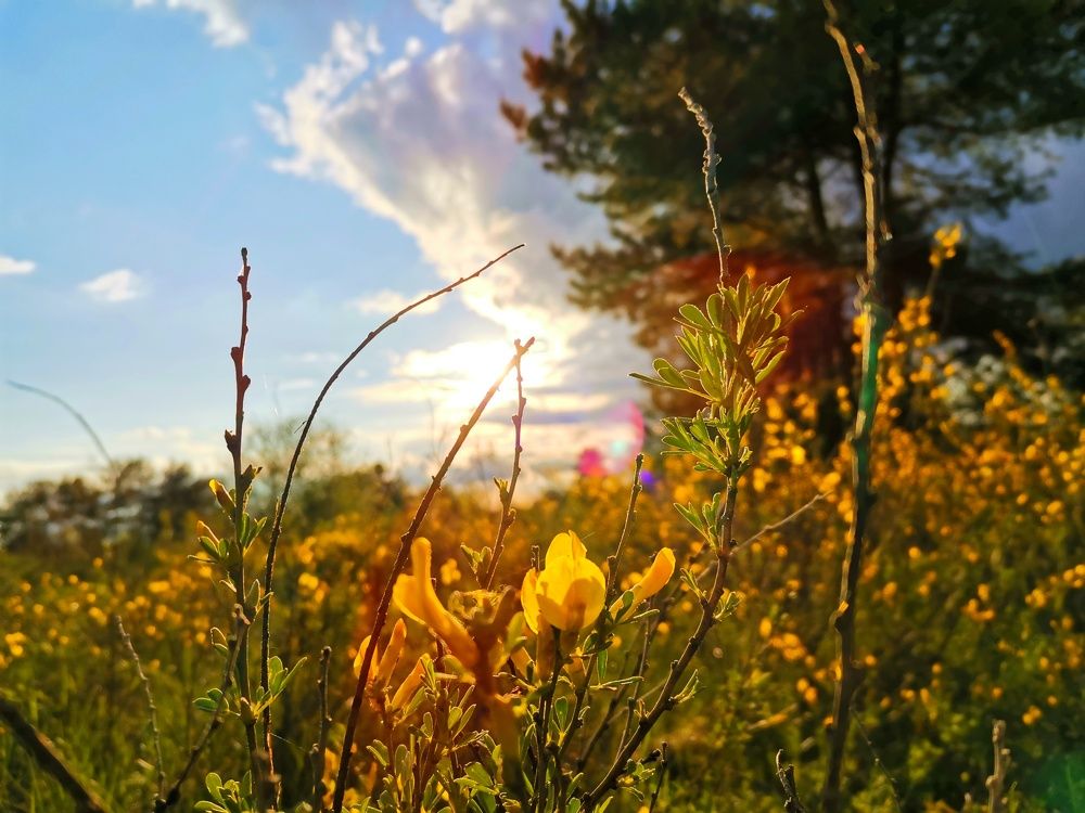 Photograph by Антон Рязанов