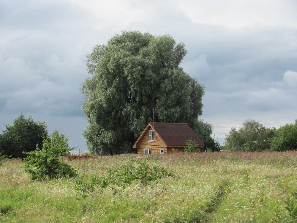 Photograph by Юлия