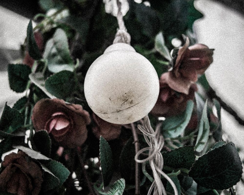 Photograph by Роман