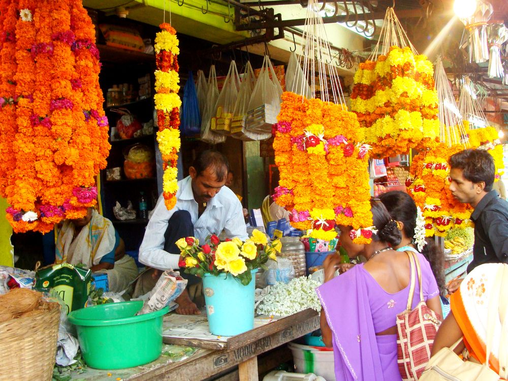 Утро в Индии