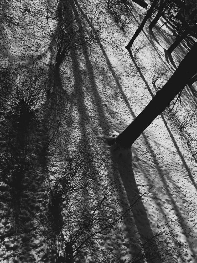 Photograph by Татьяна Носкович