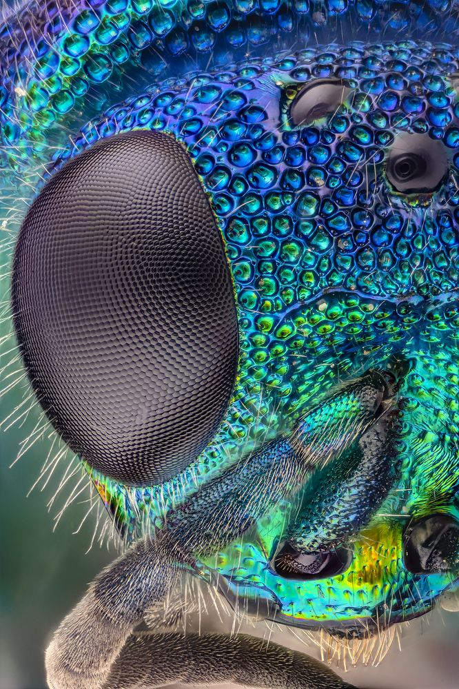 Photograph by Сергей Федоренко