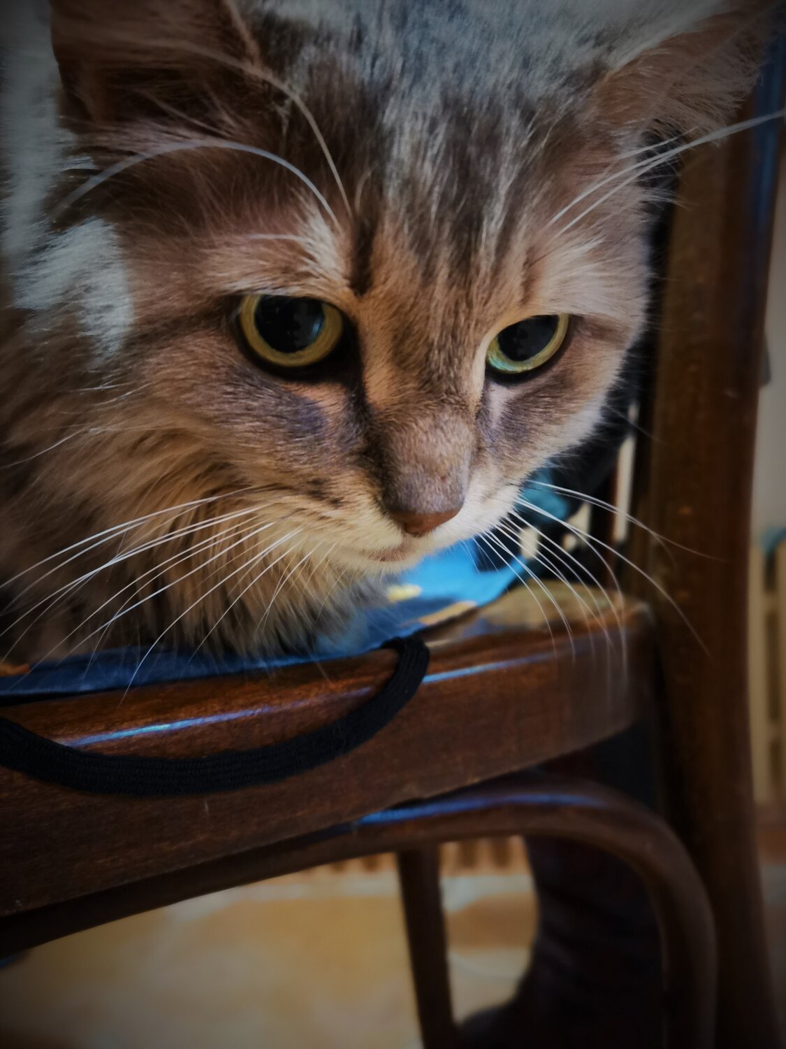 Photo #5581561