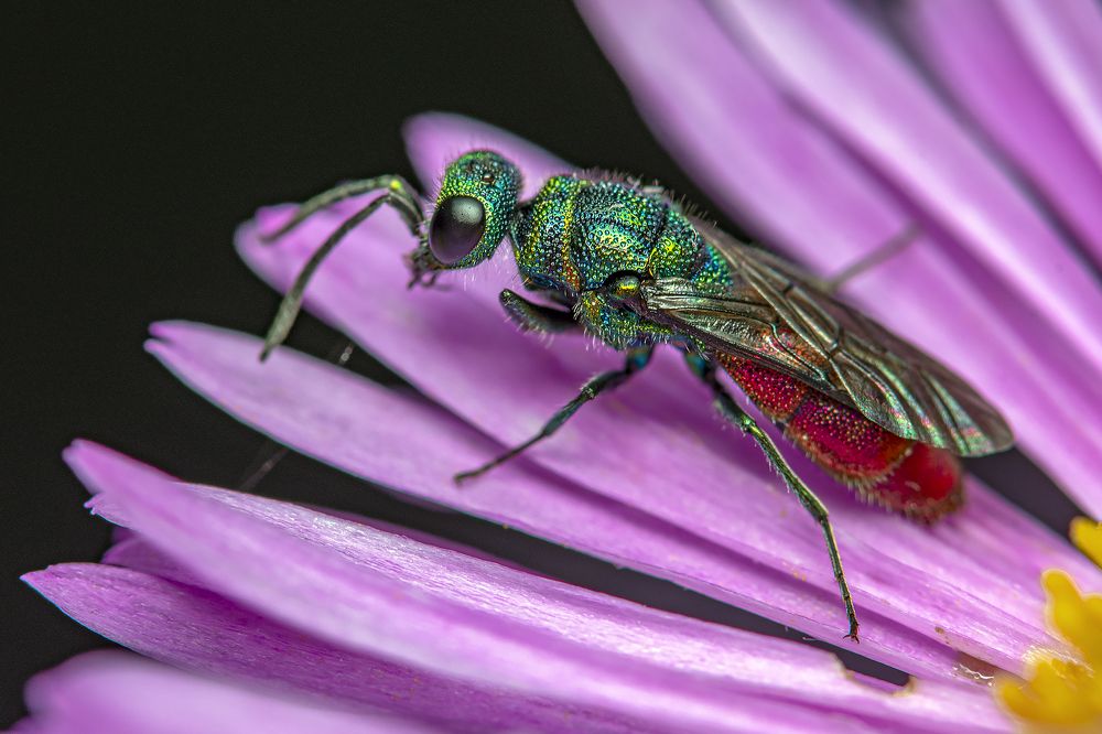 Photograph by Сергей Федоренко