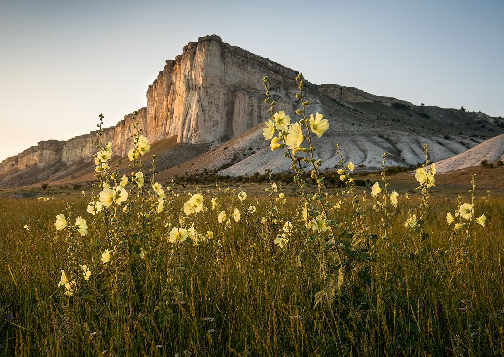 Photograph by Елена Ковригина