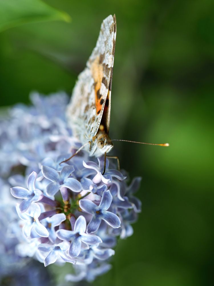 Photograph by Артем Харисов