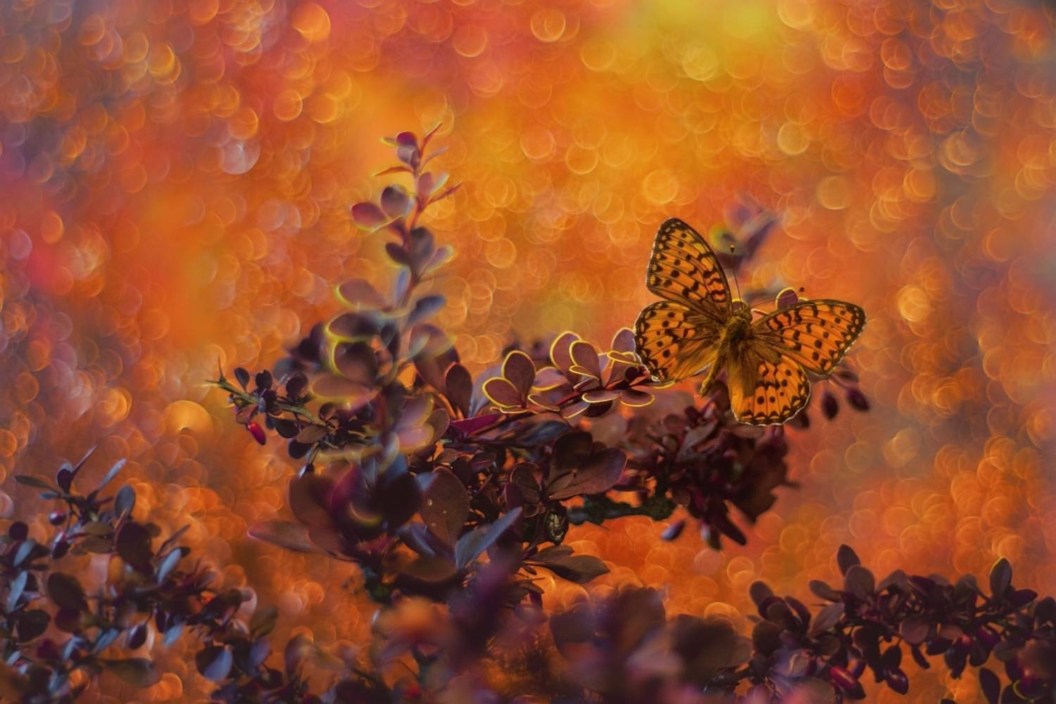 Already September 2020