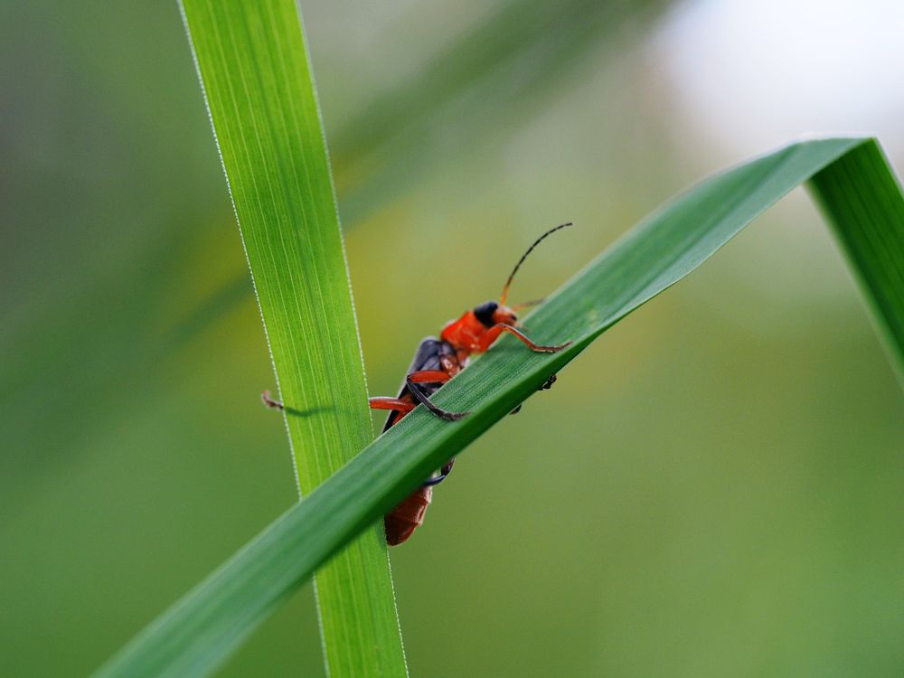 Photograph by Артем Харисов