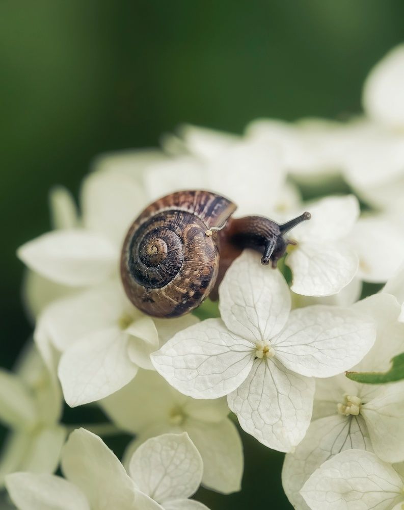 Photograph by Юлия Ильина