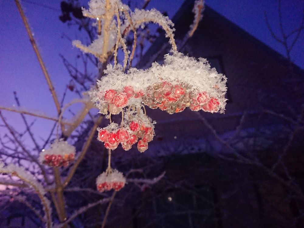 Photo #5581852
