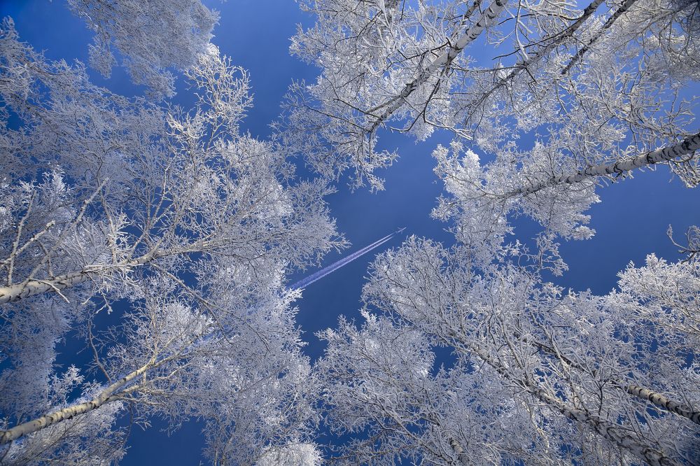 I'd like to go to heaven... (Мне бы в небо...)