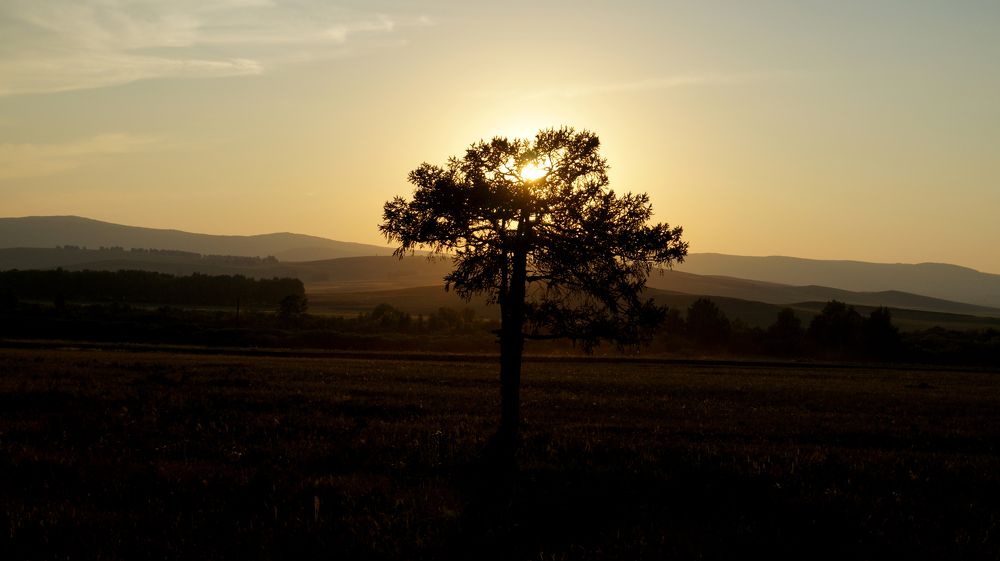 Photograph by Нияз Мирхайдаров