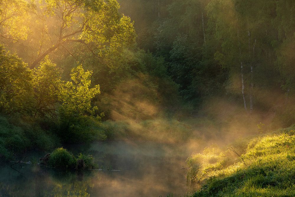 Фотография автора Yakovlev Artur