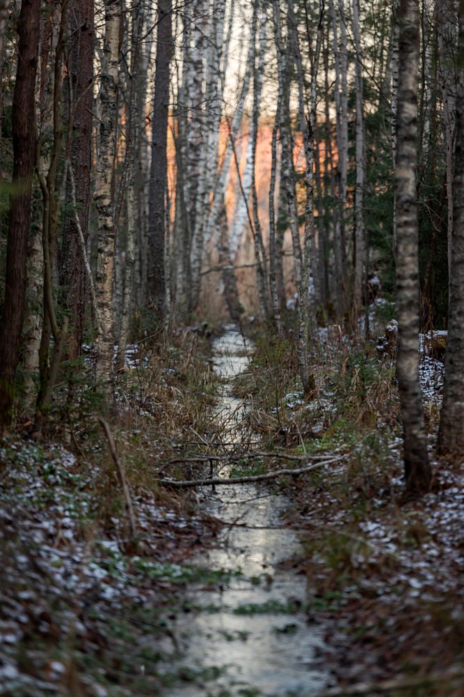 Фотография автора Yakovlev Artur