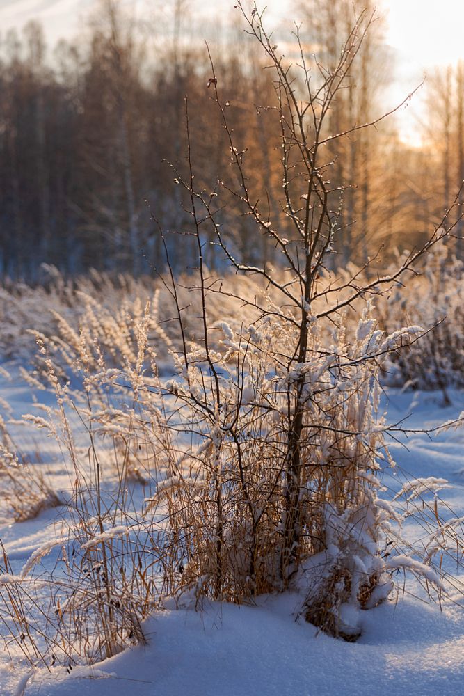 Подморозило
