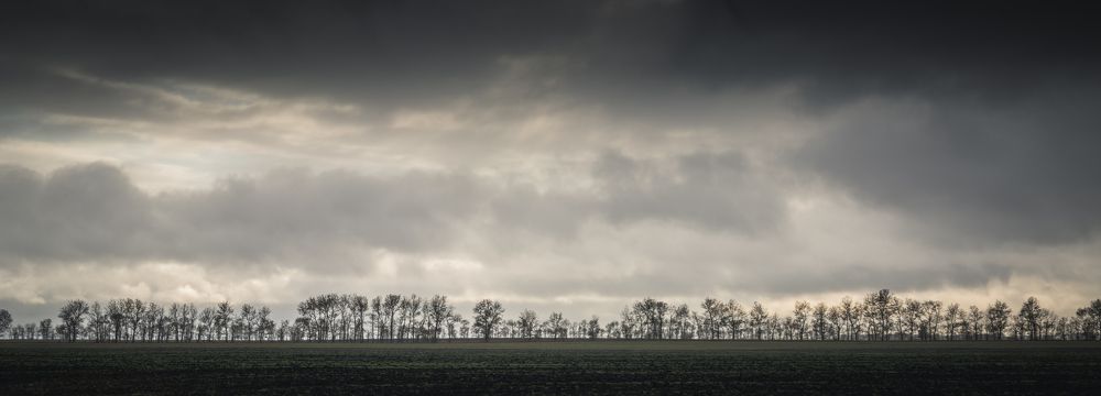 Photograph by Денис Кошкин