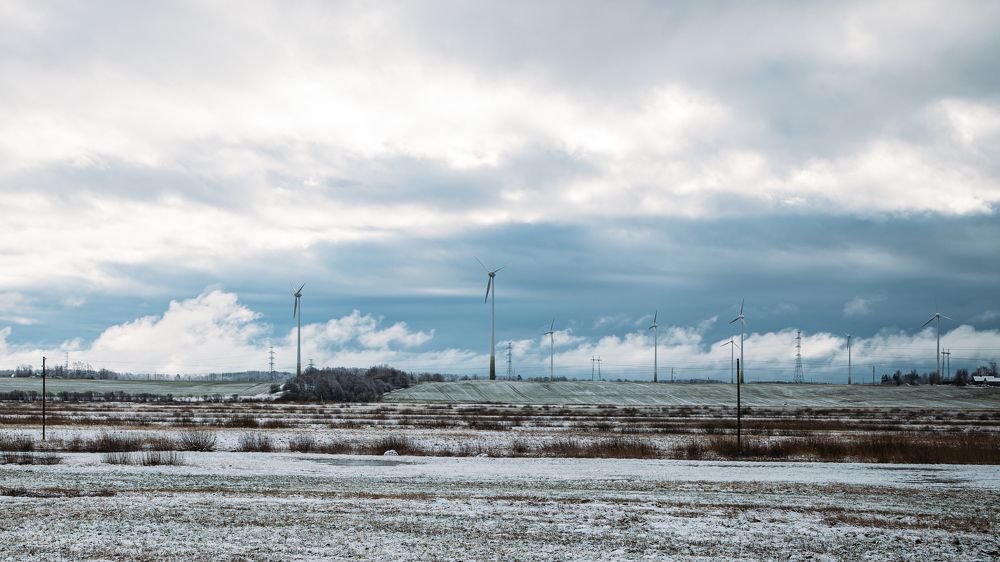 Photograph by Ligita Kluga