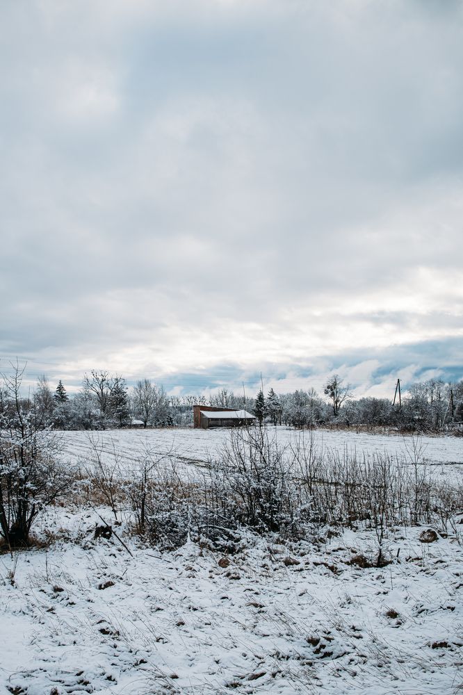 Photograph by Ligita Kluga