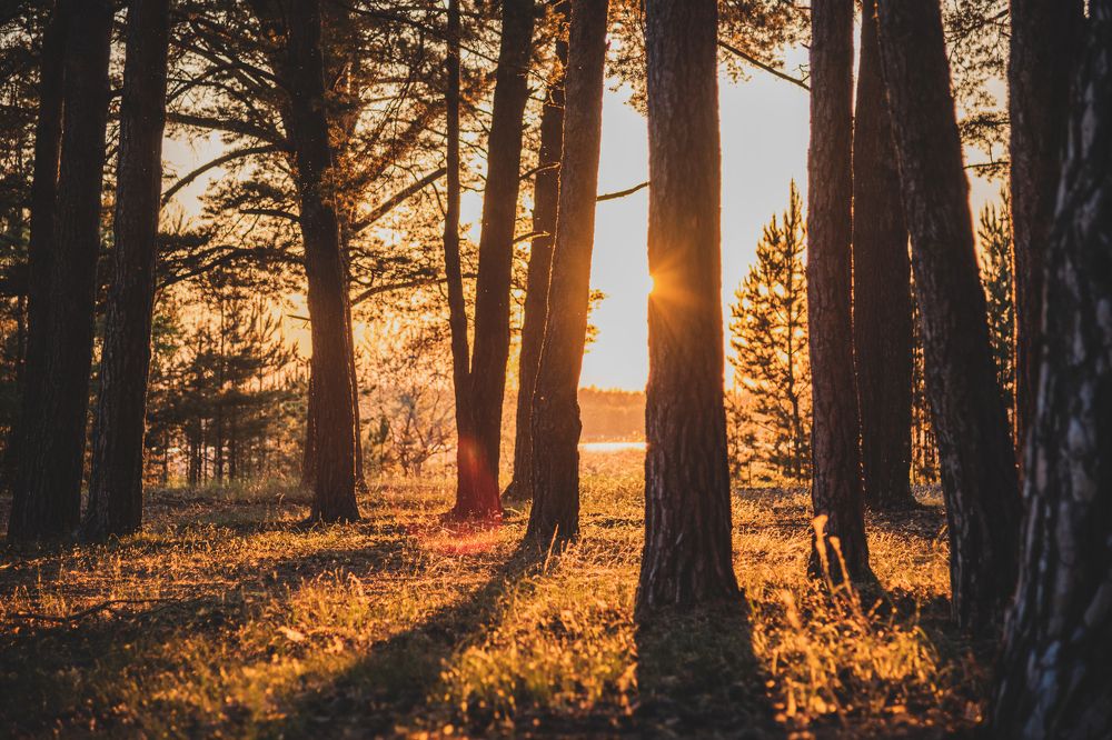 Photograph by Денис Кошкин