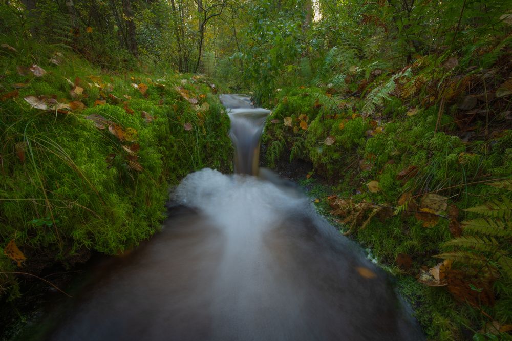 Photograph by Денис Кошкин