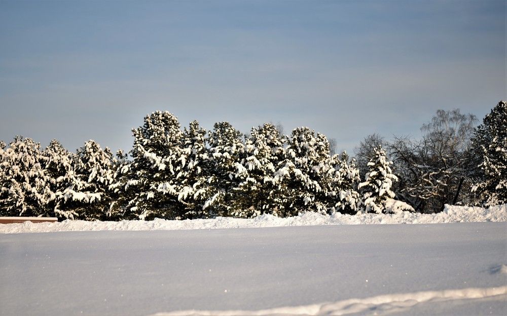 Photograph by Марина Шевцова