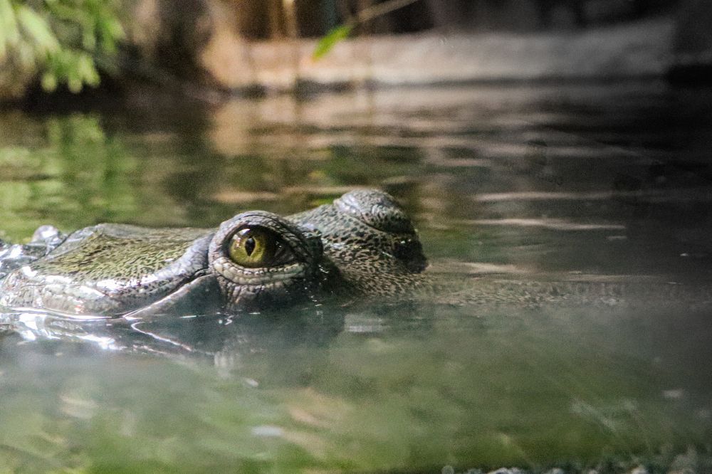 Photograph by Людмила Казак